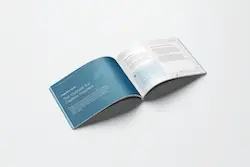Portfolio item Thumbnails 13
