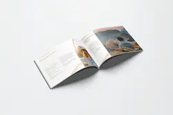 Portfolio item Thumbnails 7